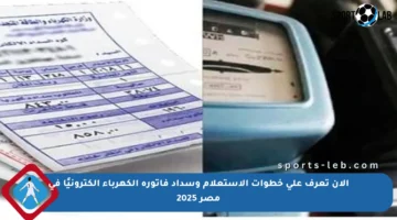 الآن تعرف على خطوات الاستعلام وسداد فاتورة الكهرباء إلكترونيًا في مصر 2025